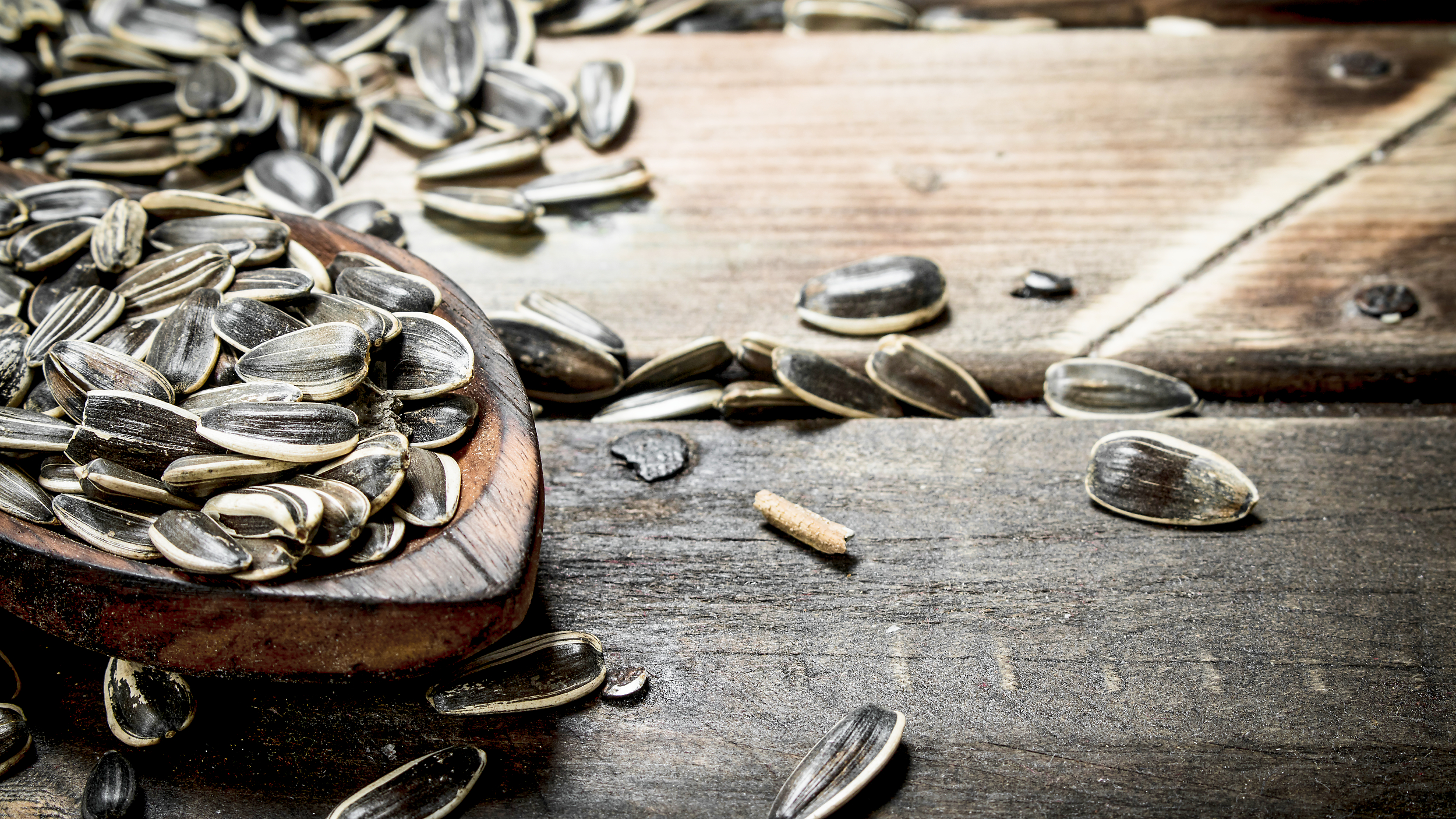 Sunflower seeds Sunflower seeds