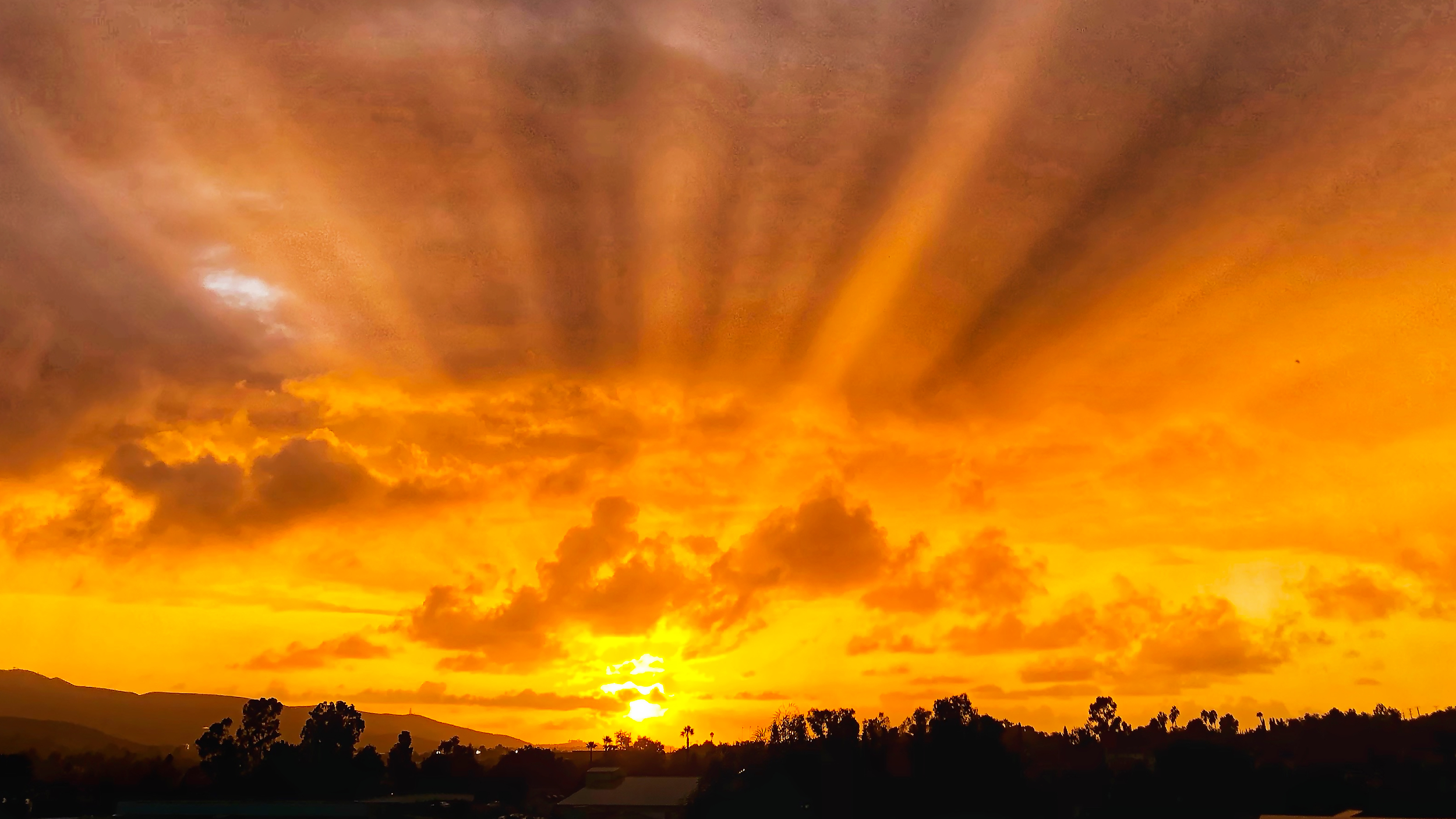 Sunrise