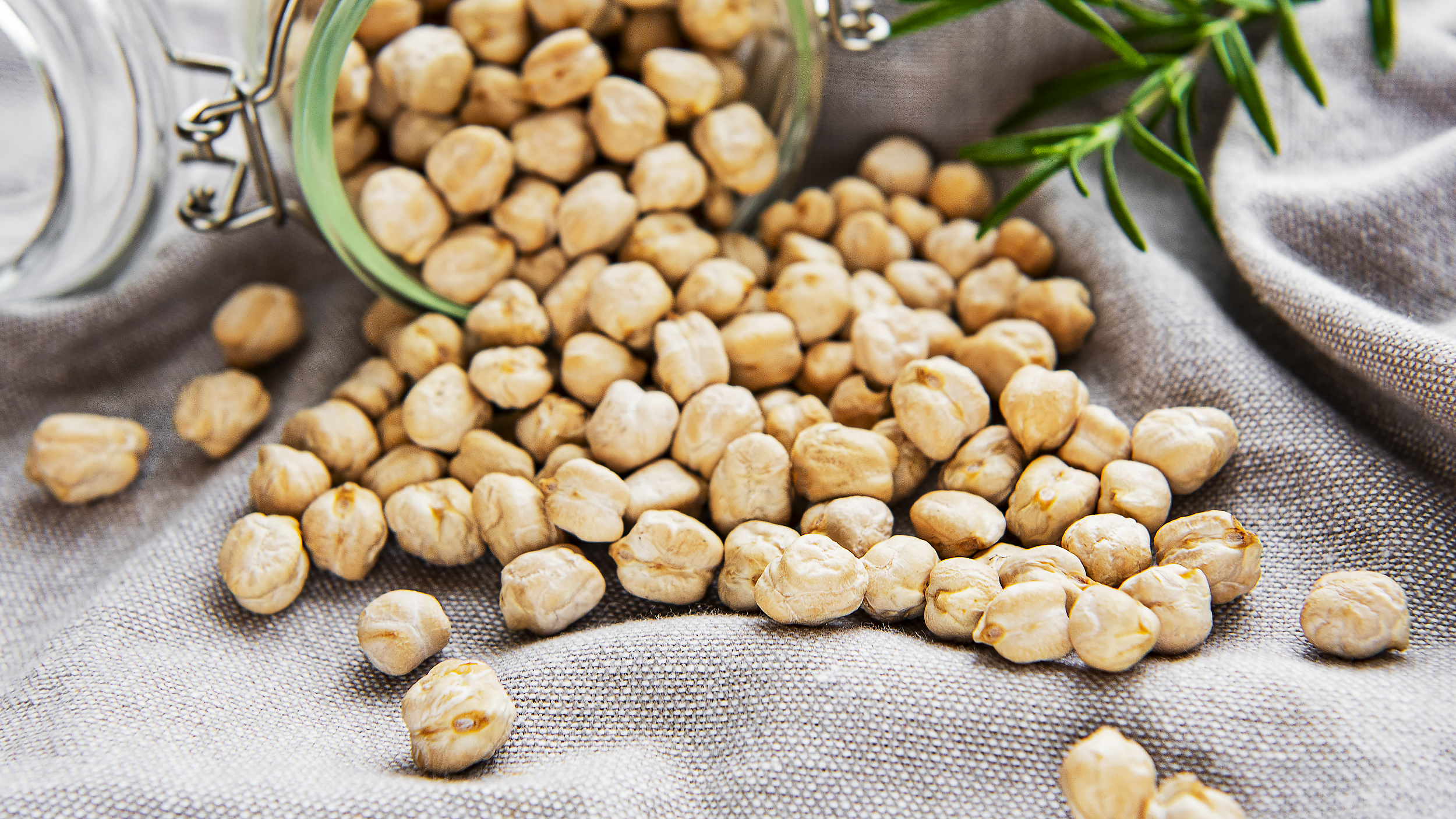 Chickpeas source of magnesium
